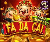 FA DA CAI(H5)