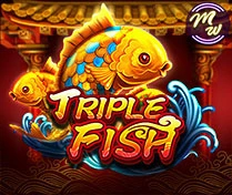 Triple Fish(H5)