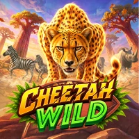 Cheetah Wild